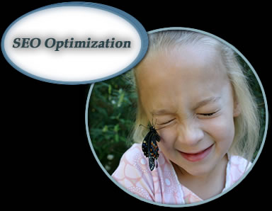 Search Engine Website Optimization (SEO)