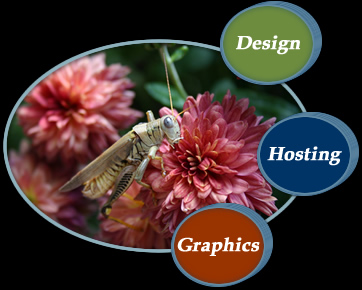 Design, Hosting, Graphics, Maintenance